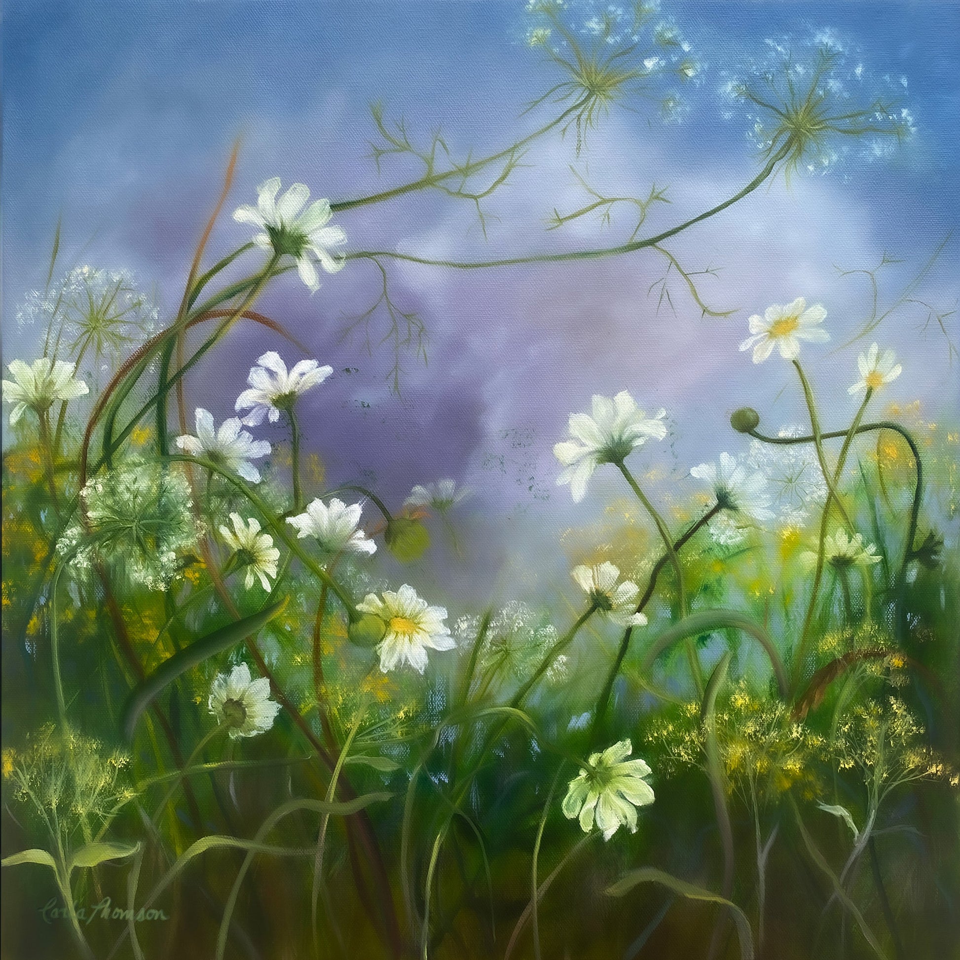 Daisies – Original floral oil painting featuring soft white daisies and Queen Anne’s lace swaying in a misty meadow, blending botanical beauty with an ethereal landscape.