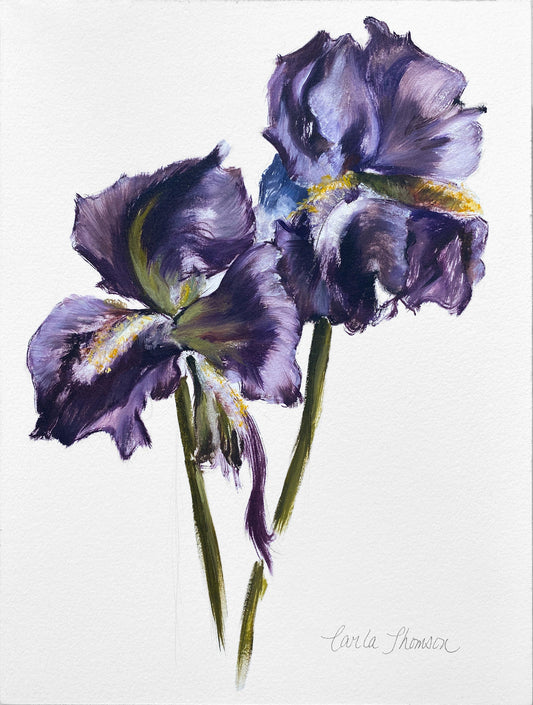 Iris Study