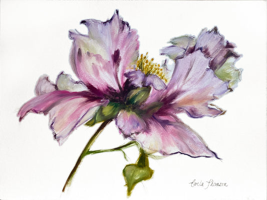 Peony Study