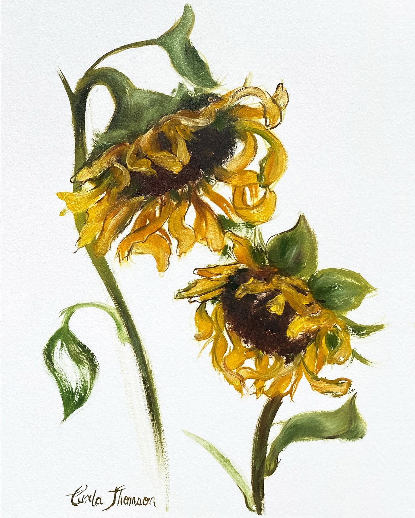 Sunflowers Study II