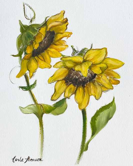 Sunflowers Study